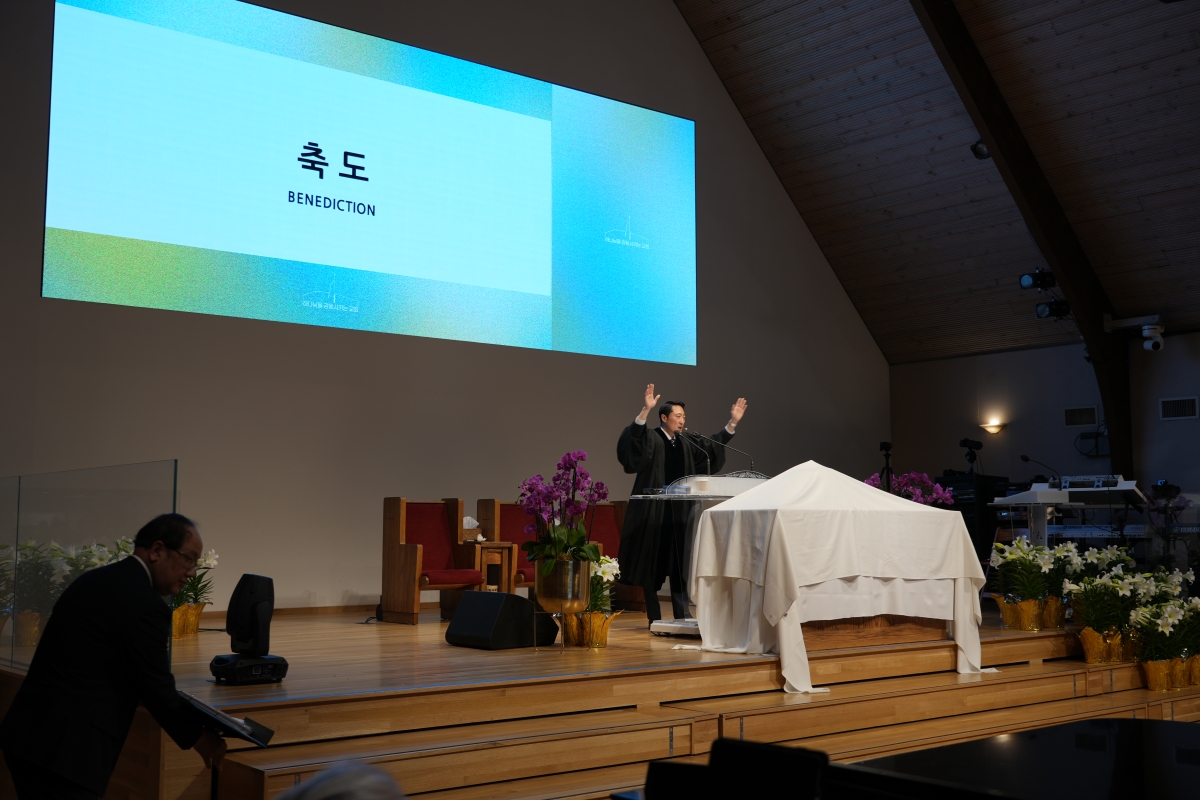 WEBDSC08283.JPG