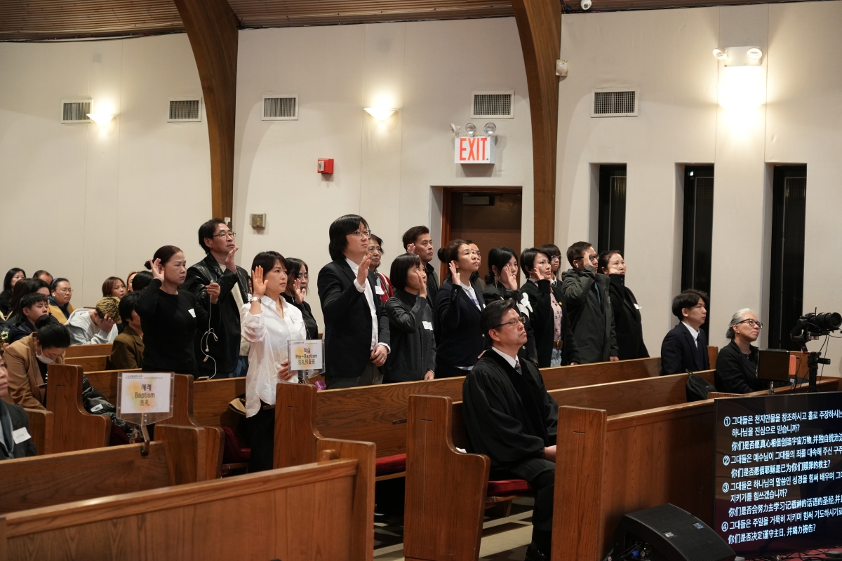 WEBDSC08206.JPG