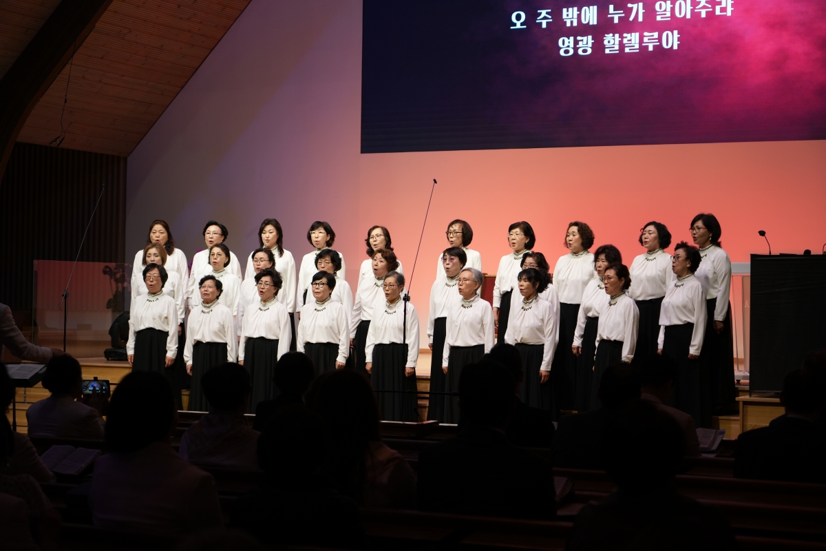 WEBDSC08425.JPG