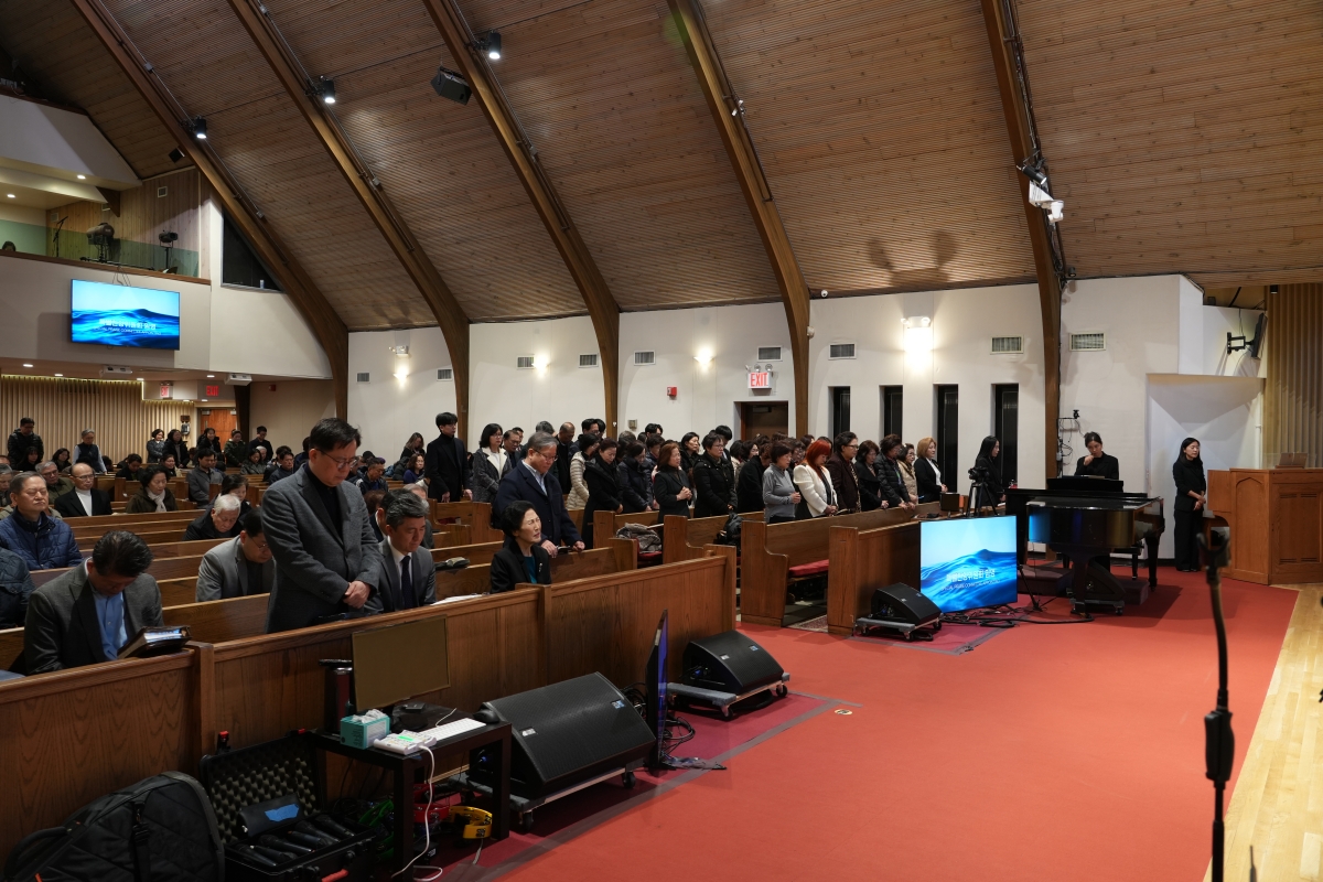 WEBDSC07796.JPG